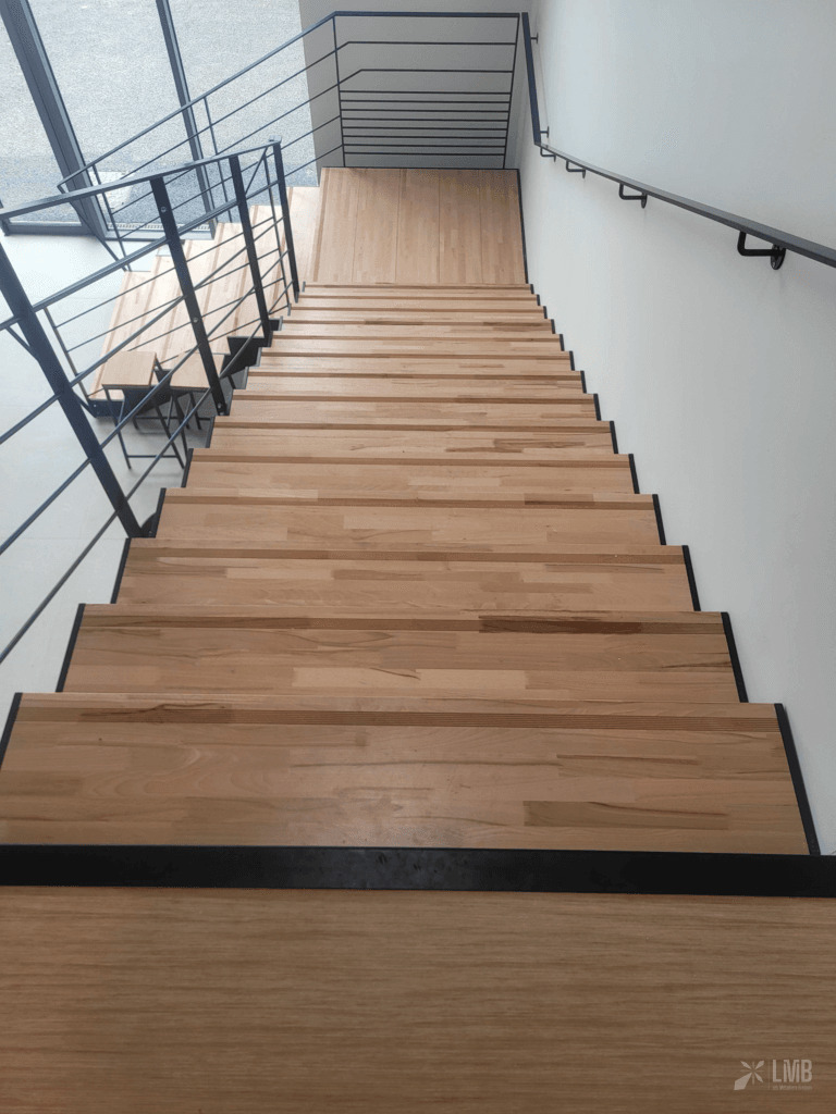Escalier + garde-corps + limon central